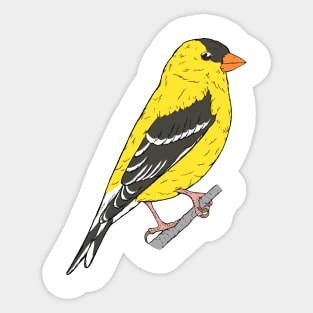 Spinus tristis - American Goldfinch Sticker